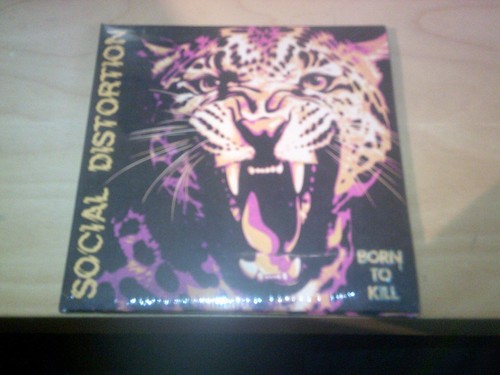 Social distortion born - born, to